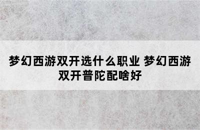 梦幻西游双开选什么职业 梦幻西游双开普陀配啥好